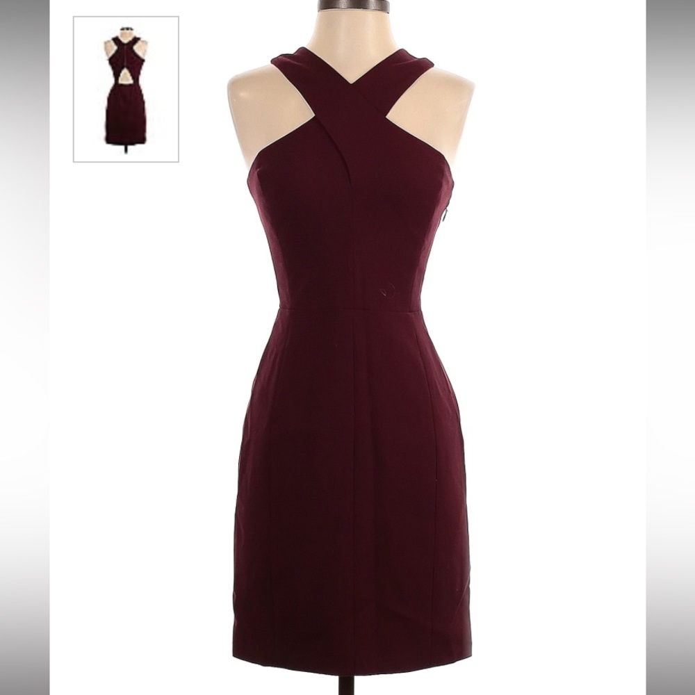 Elizabeth and James Shiraz Cocktail Dress